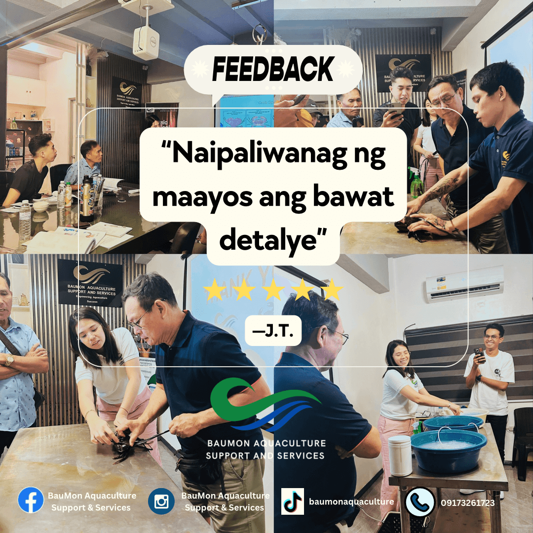 Black Simple Review Instagram Post(3)
